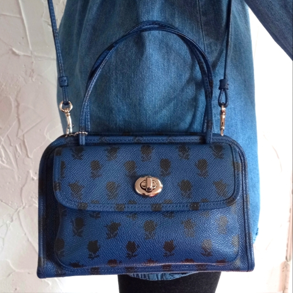 Coach Cady, Badlands Print on Crossgrain Leather, LE, Rare!!! - Picture 4 of 13